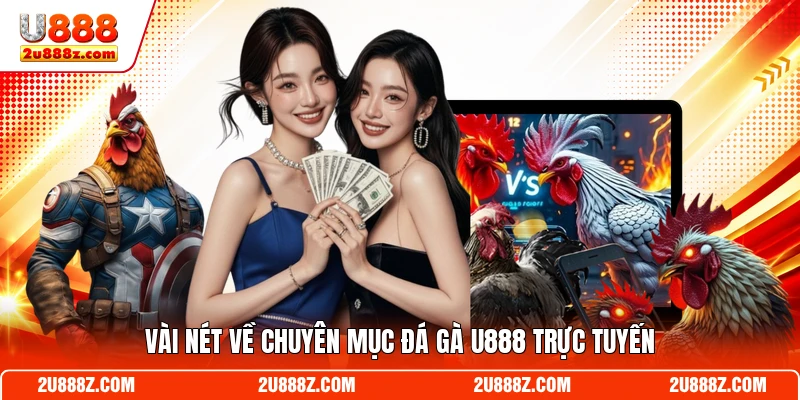 Vài nét về chuyên mục đá gà U888 trực tuyến